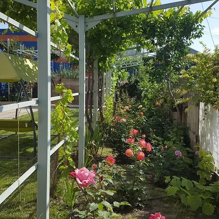 La Vila Homestay *